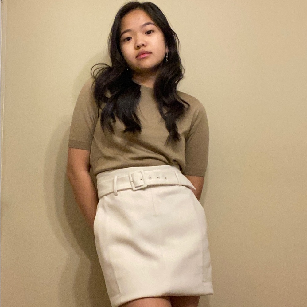 NWT Ann Taylor Cream Skirt
